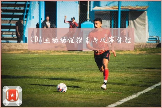 CBA主场场馆指南与观赛体验