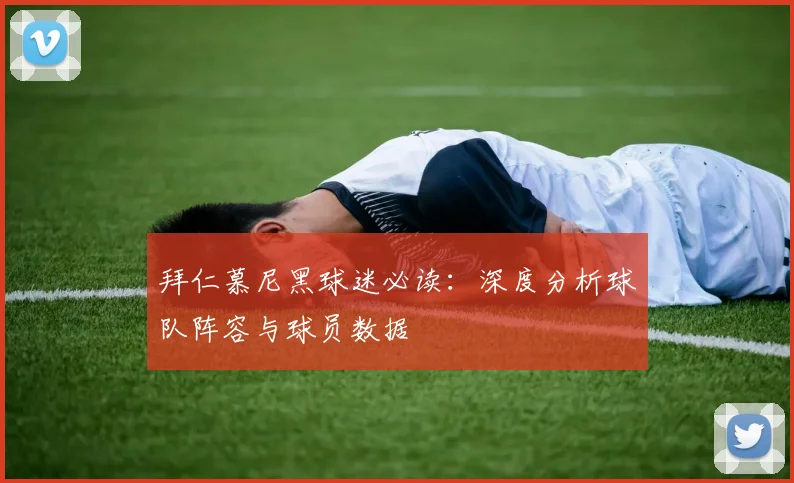 拜仁慕尼黑球迷必读：深度分析球队阵容与球员数据
