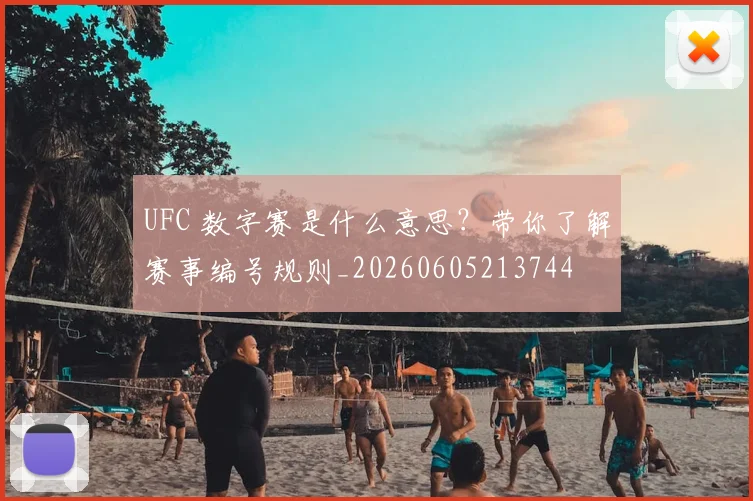 UFC 数字赛是什么意思？带你了解赛事编号规则_20260605213744