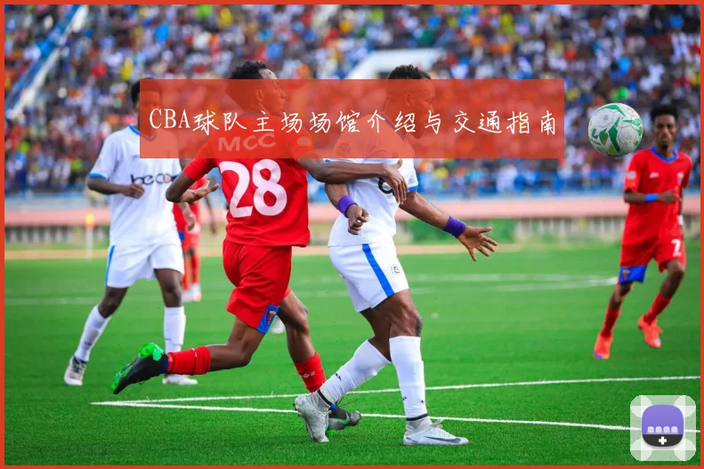 CBA球队主场场馆介绍与交通指南